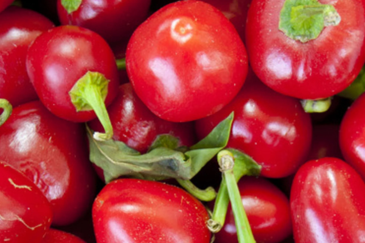 Red Cherry Sweet Pepper Seeds, Capsicum annuum, Heirloom, Non-GMO, High Yield, Pickling, Easy to Grow
