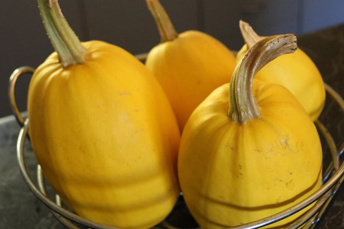 Vegetable Seeds - Spaghetti Winter Squash Cucurbita pepo Non-GMO, Low-Carb Pasta Alternative, Easy to Grow, Heirloom Variety