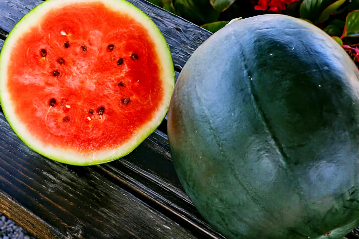 Sugar Baby Watermelon Seeds 1g | Heirloom Citrullus lanatus, Sweet Juicy, Compact, Non-GMO, Easy Grow, Garden Favorite