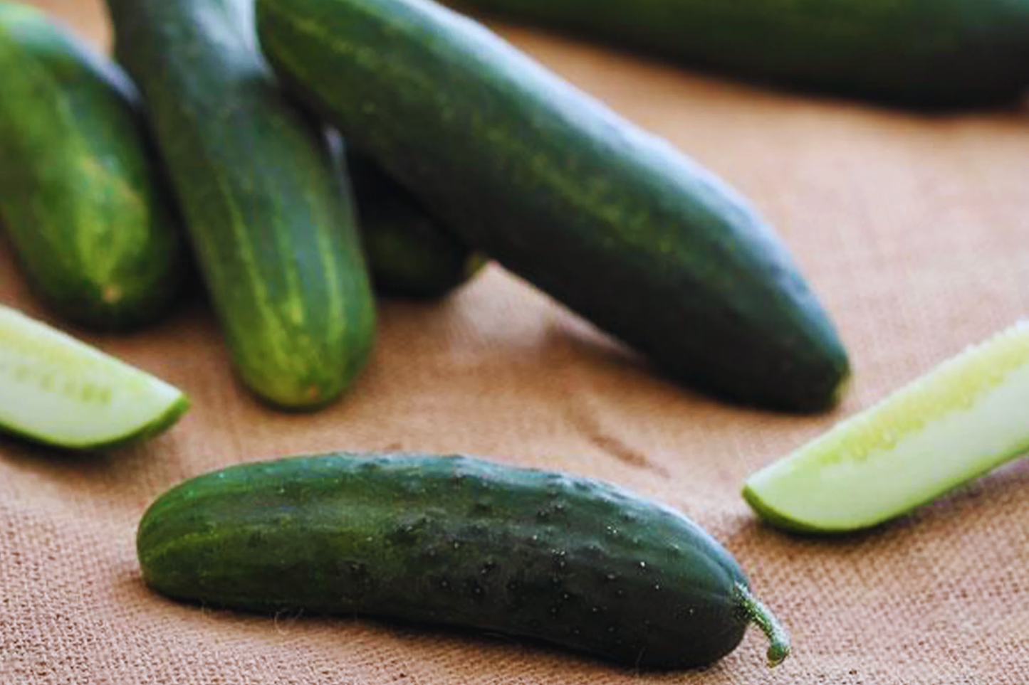 Cucumber Seeds Non-GMO Heirloom - Ashley Garden Seeds Cucumis sativus