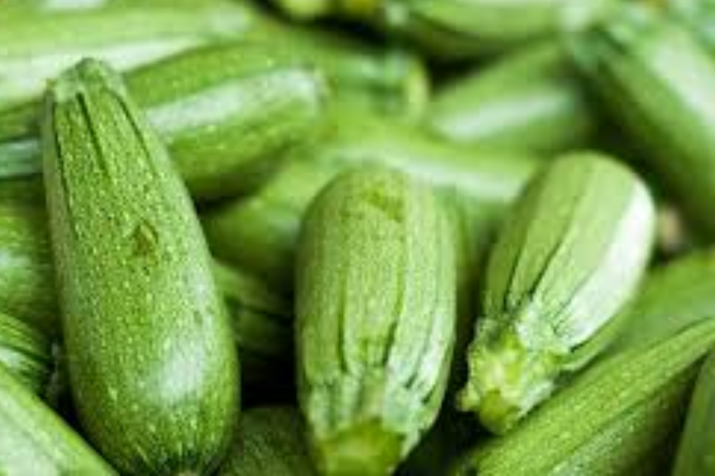 Dark Green Zucchini Seeds 1g Cucurbita pepo Non-GMO Summer Squash for Vegetable Garden, High-Yield, Easy-Grow
