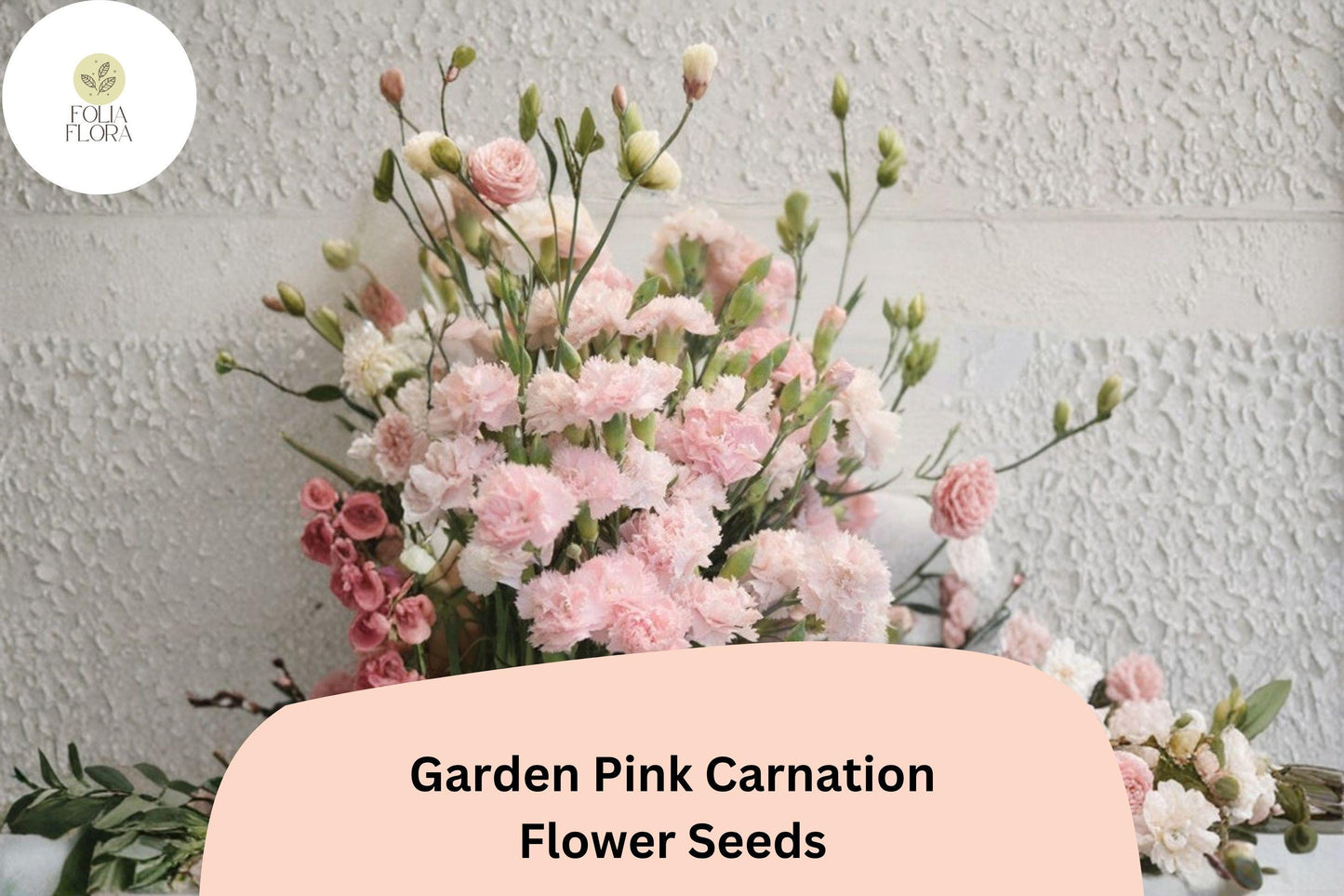 200+ Garden Pink Carnation Seeds - Hardy Perennial with Fragrant Pink Blooms