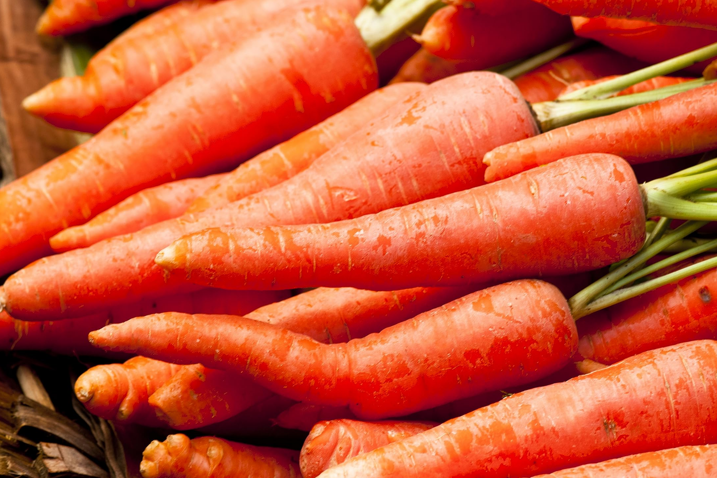 Tendersweet Carrot Seeds - Non-GMO Organic Daucus carota for Home Garden, 400+ Pack, Easy to Grow, Sweet & Crunchy Root Vegetables