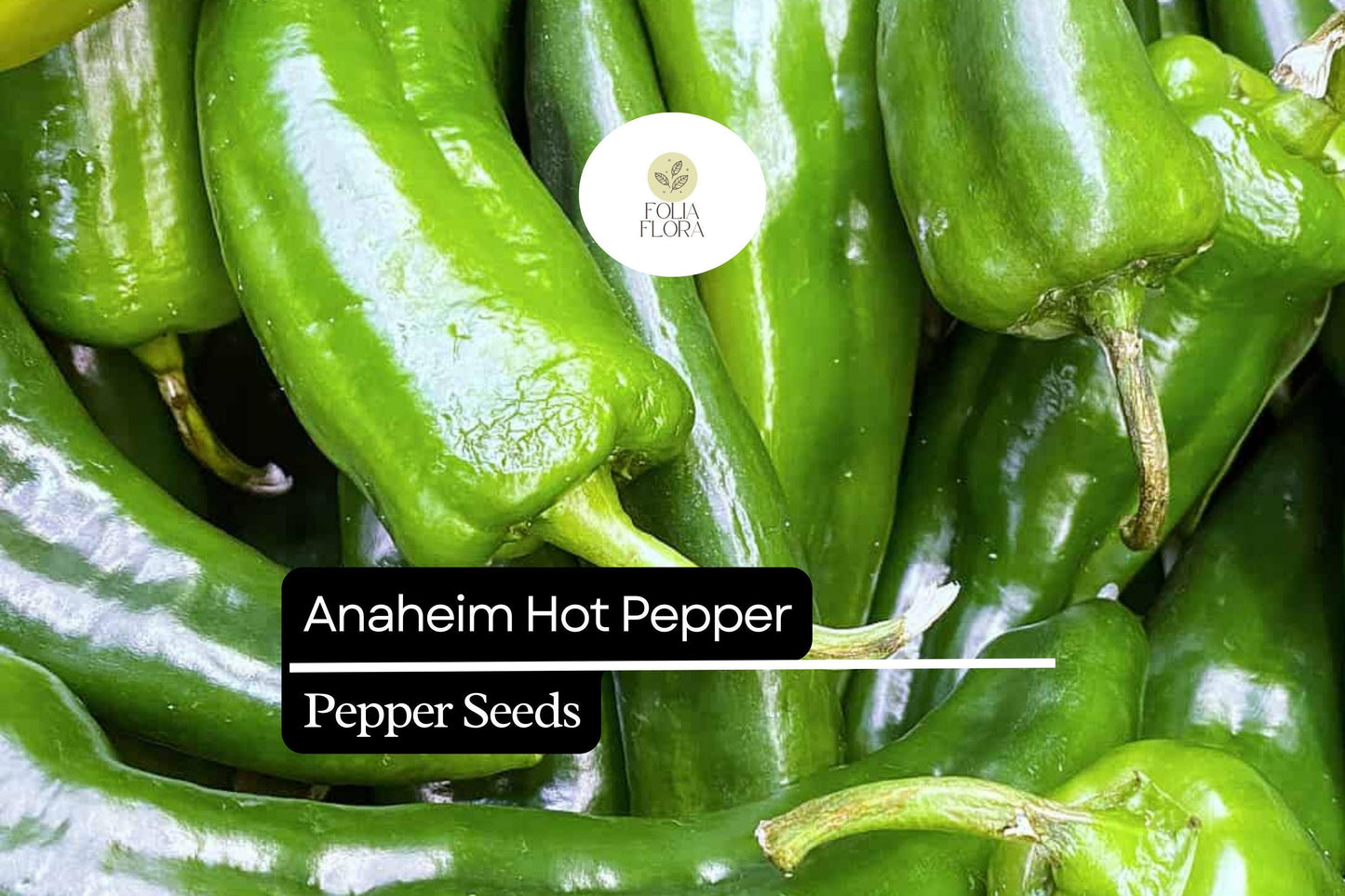 25 Anaheim Pepper Seeds – Mild, High-Yielding Capsicum annuum for Roasting & Grilling