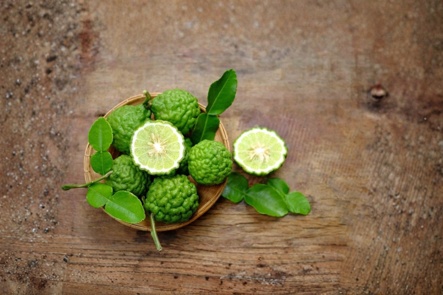 Grafted Kaffir Lime Tree Live Plant | 5 Gallon Pot | Citrus hystrix | Evergreen Thai Lime Tree for Container & Garden