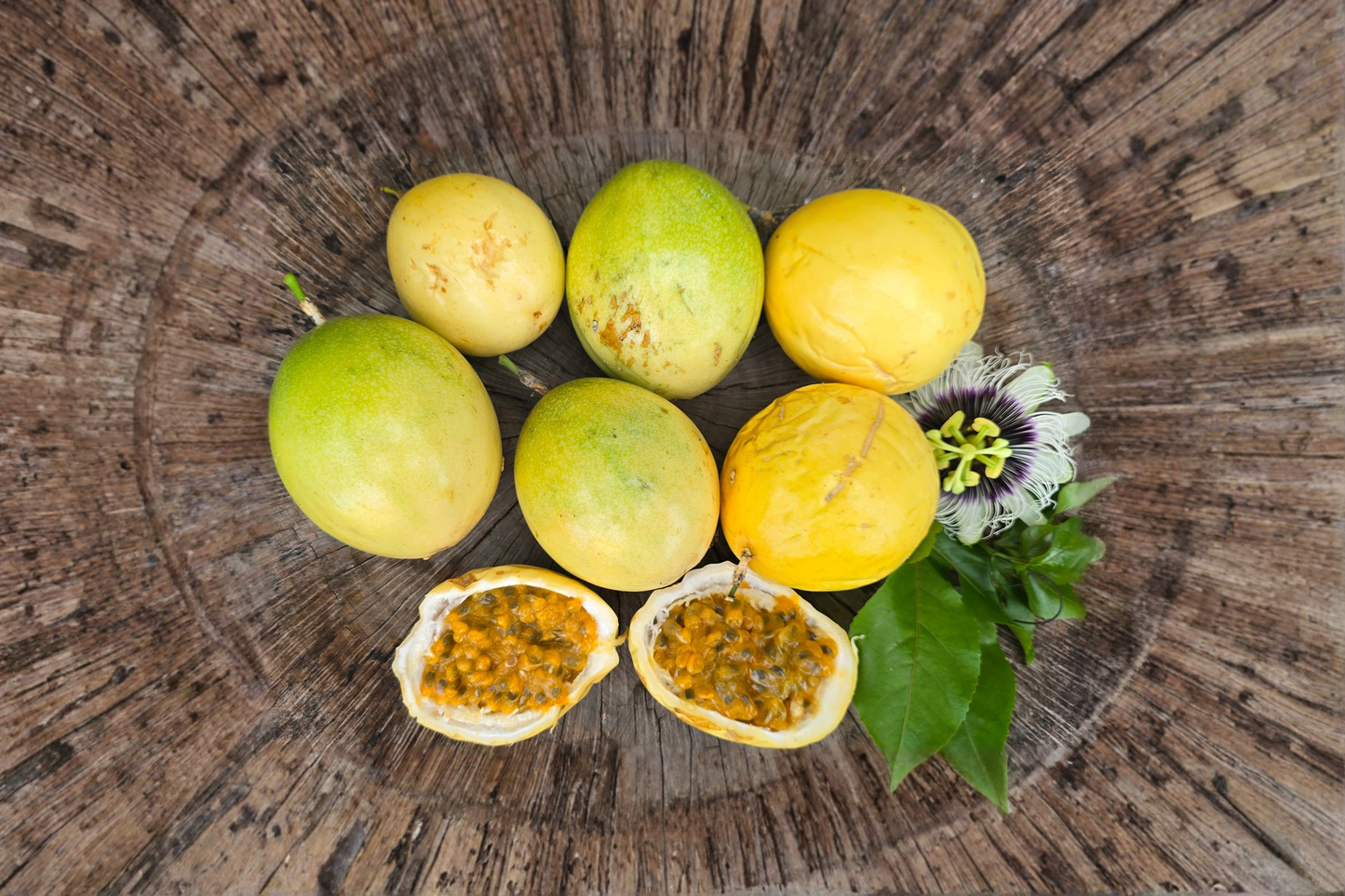 Giant Granadilla Passion Fruit Seeds – Climbing Tropical Vine for Garden, Trellis & Outdoor Growing – Passiflora ligularis