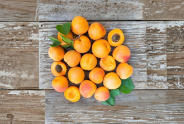 Live Royal Apricot Grafting Cuttings - Organic Prunus armeniaca, 5 Pieces for Home Orchard and Grafting