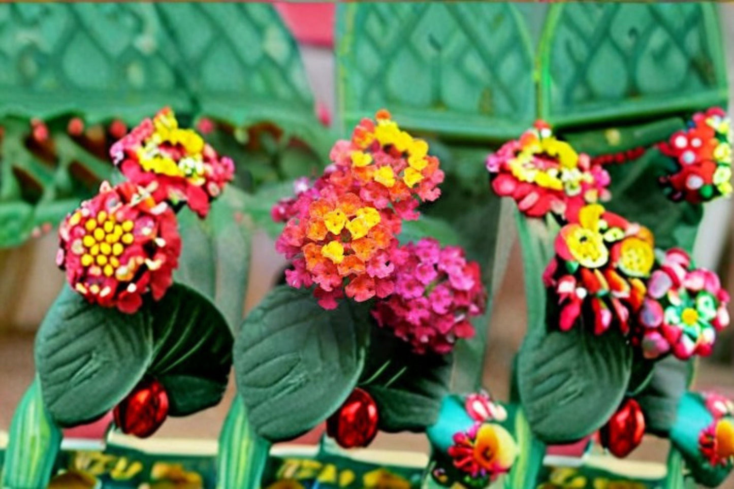 Irene Lantana Plant – Lantana camara ‘Irene’ Perennial Shrub