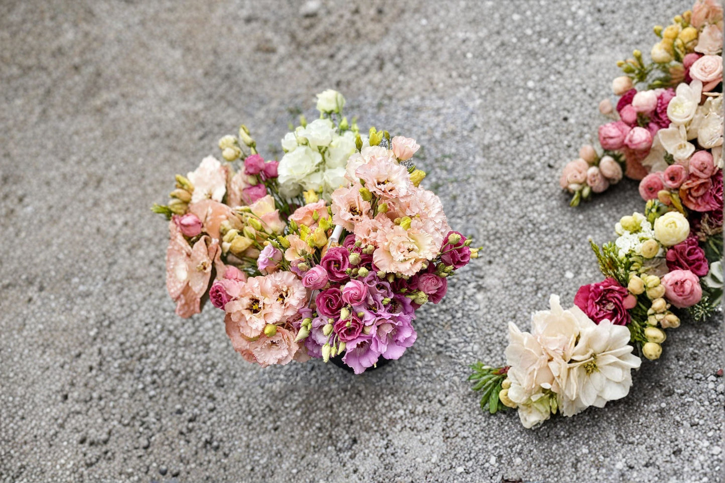 Lisianthus Voyage Plant – Eustoma grandiflorum with Rose-Like Blooms for Garden Beds & Containers