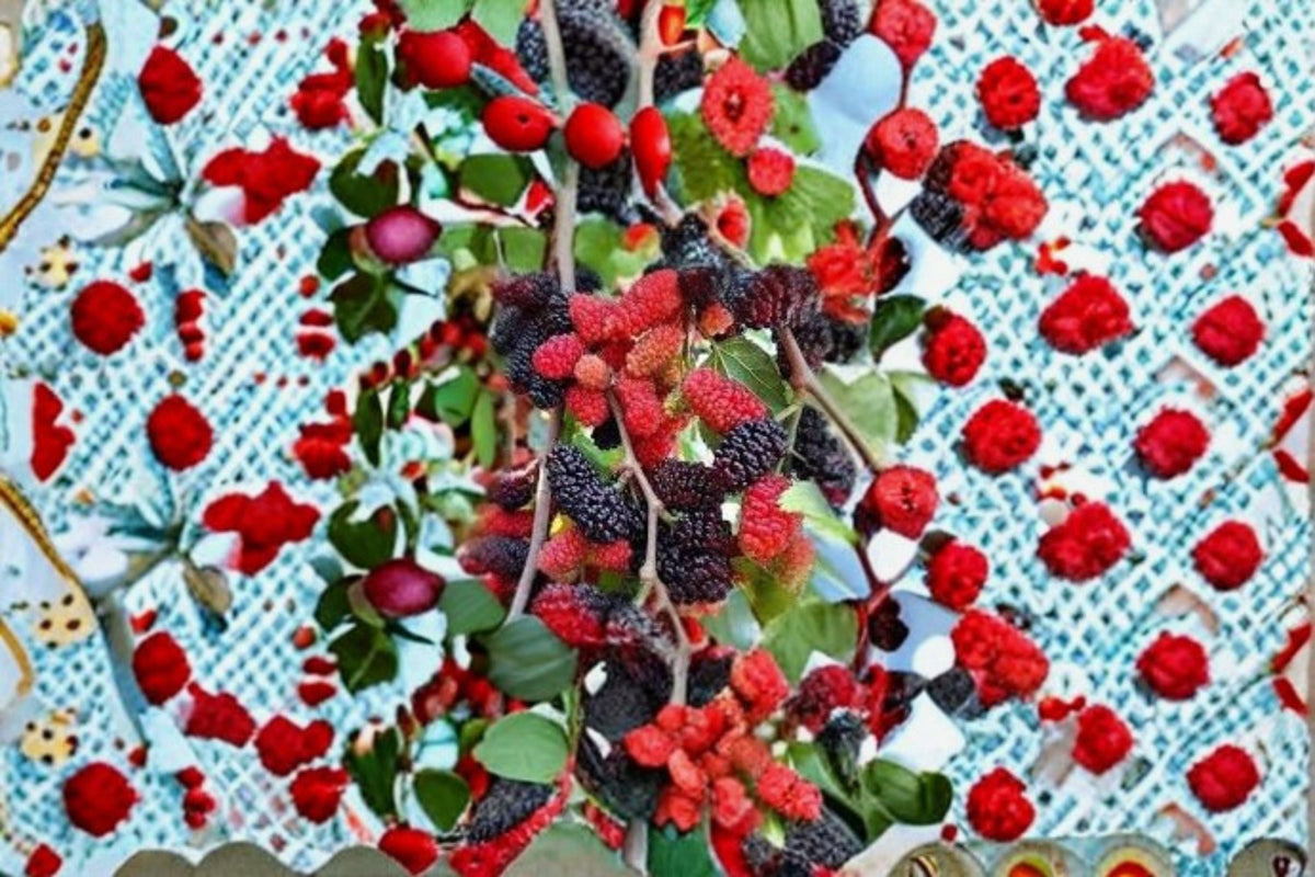 Red Mulberry Plants - 2 Pack - Morus rubra - Native Deciduous Fruit Tree - Edible Berries - Wildlife Friendly