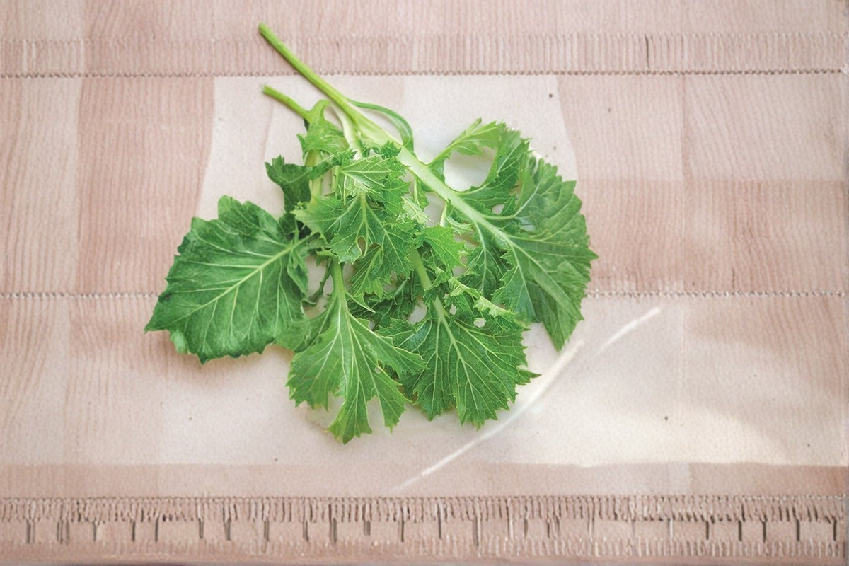 Mizuna Seeds 150 Count | Brassica Rapa Japanese Mustard Greens | Fast Growing Leafy Vegetable for Home Garden