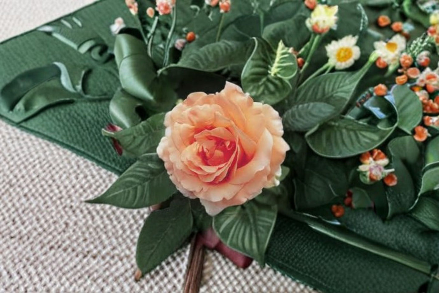 Polka Climbing Rose Live Plant – 1.5 Gal Apricot Peach Fragrant Climbing Rose