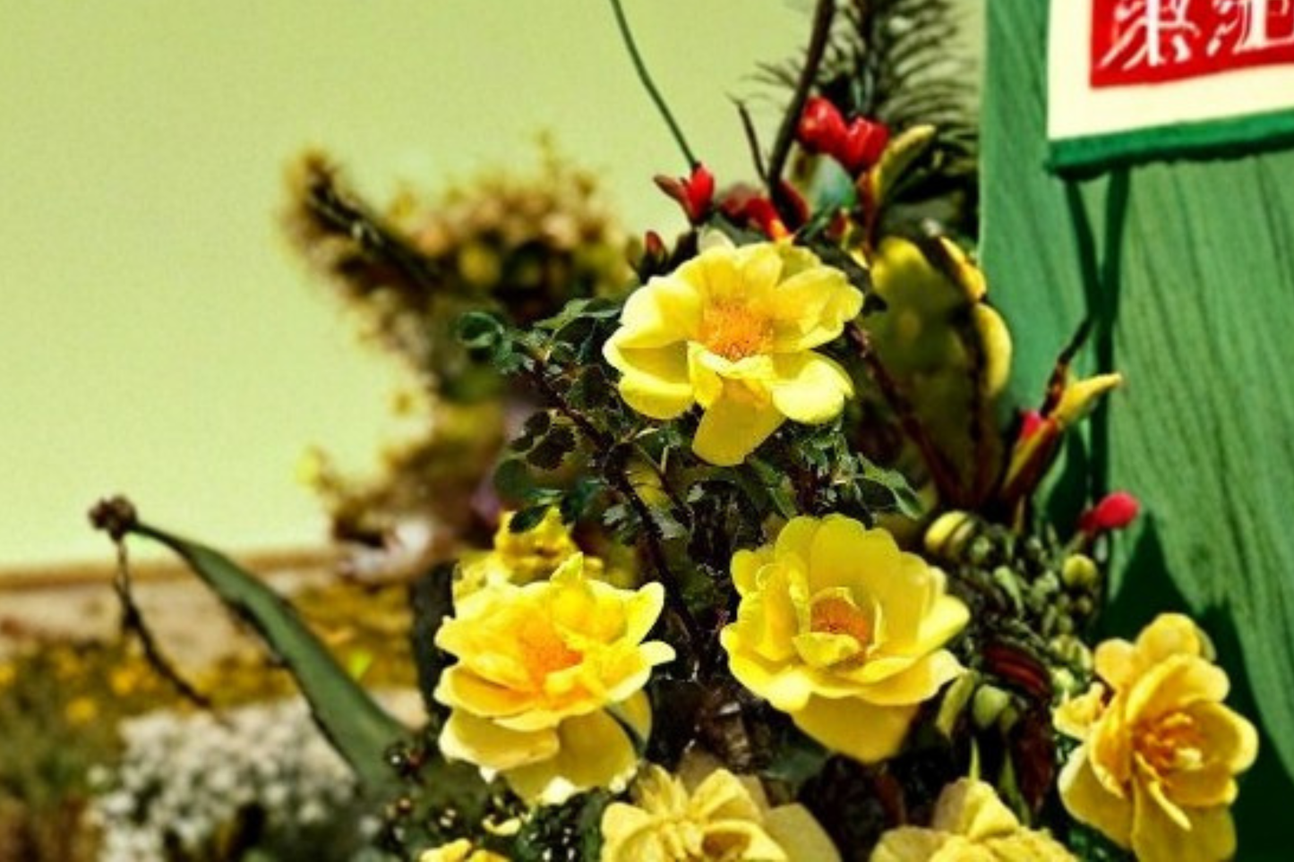 Golden Shower Climbing Rose Plant 1 Gal Live Yellow Rose Bush for Trellis, Fence, Garden Landscaping Rosa ‘Golden Showers’