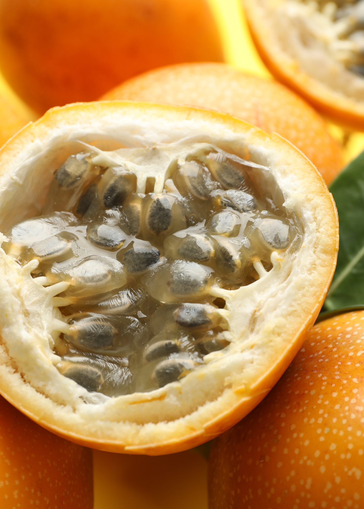 Golden Apple Passionfruit Vine, Fresh Fruits, Exotic Aroma, Passiflora laurifolia Tropical Plant