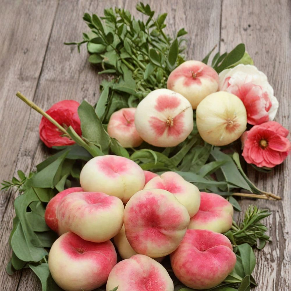 Galaxy Donut Peach Tree – 3 Ft Bare Root Prunus persica with Sweet White Flesh Flat Saucer Peento Peach