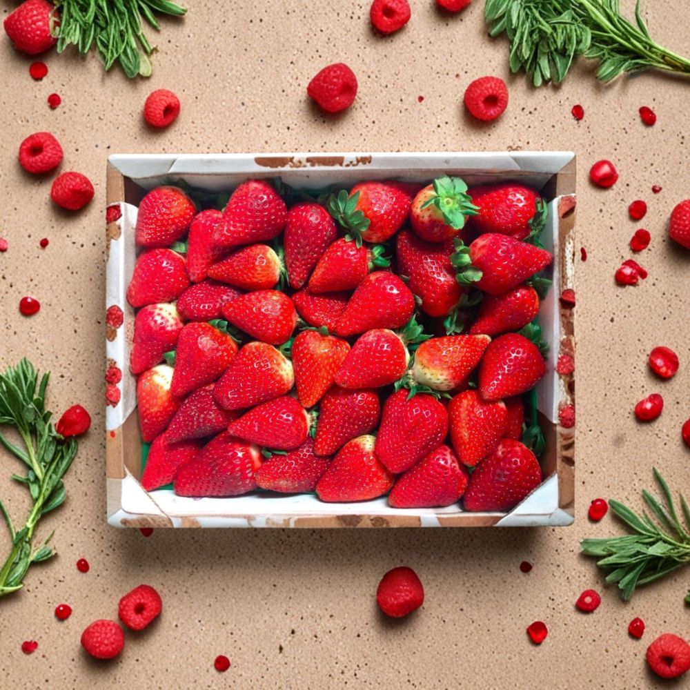 Eclair Strawberry Roots – 5 Live Strawberry Plants | Sweet Juicy Berries | Zones 5-10