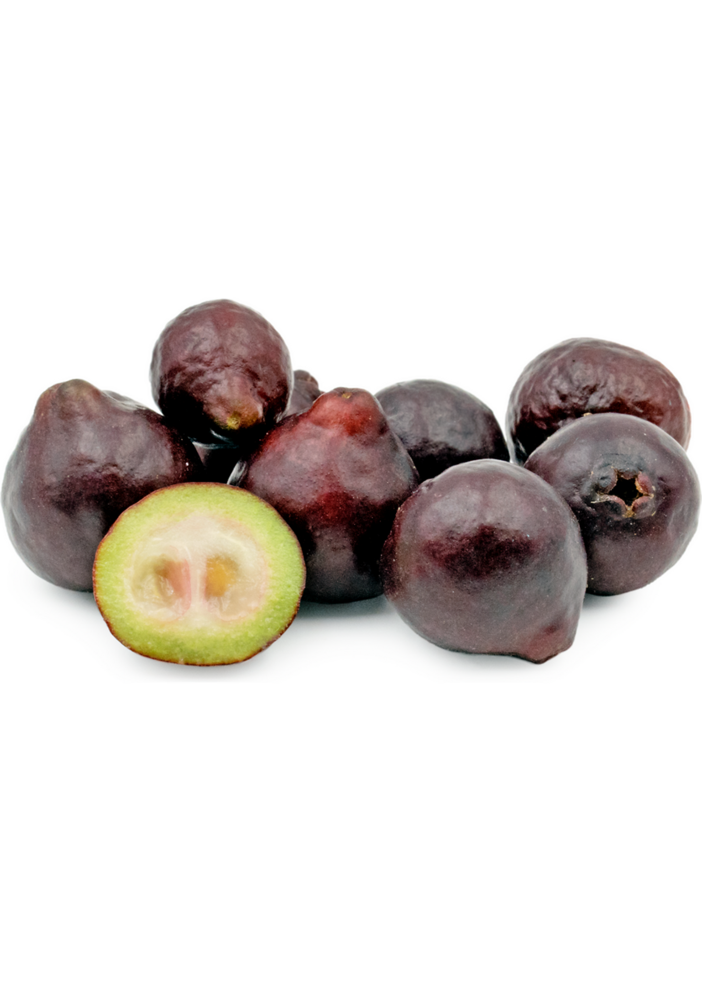 Purple Forest Guava Tree - Exotic Tropical Fruit, Psidium eugeniaefolia, Small to Medium Shrub