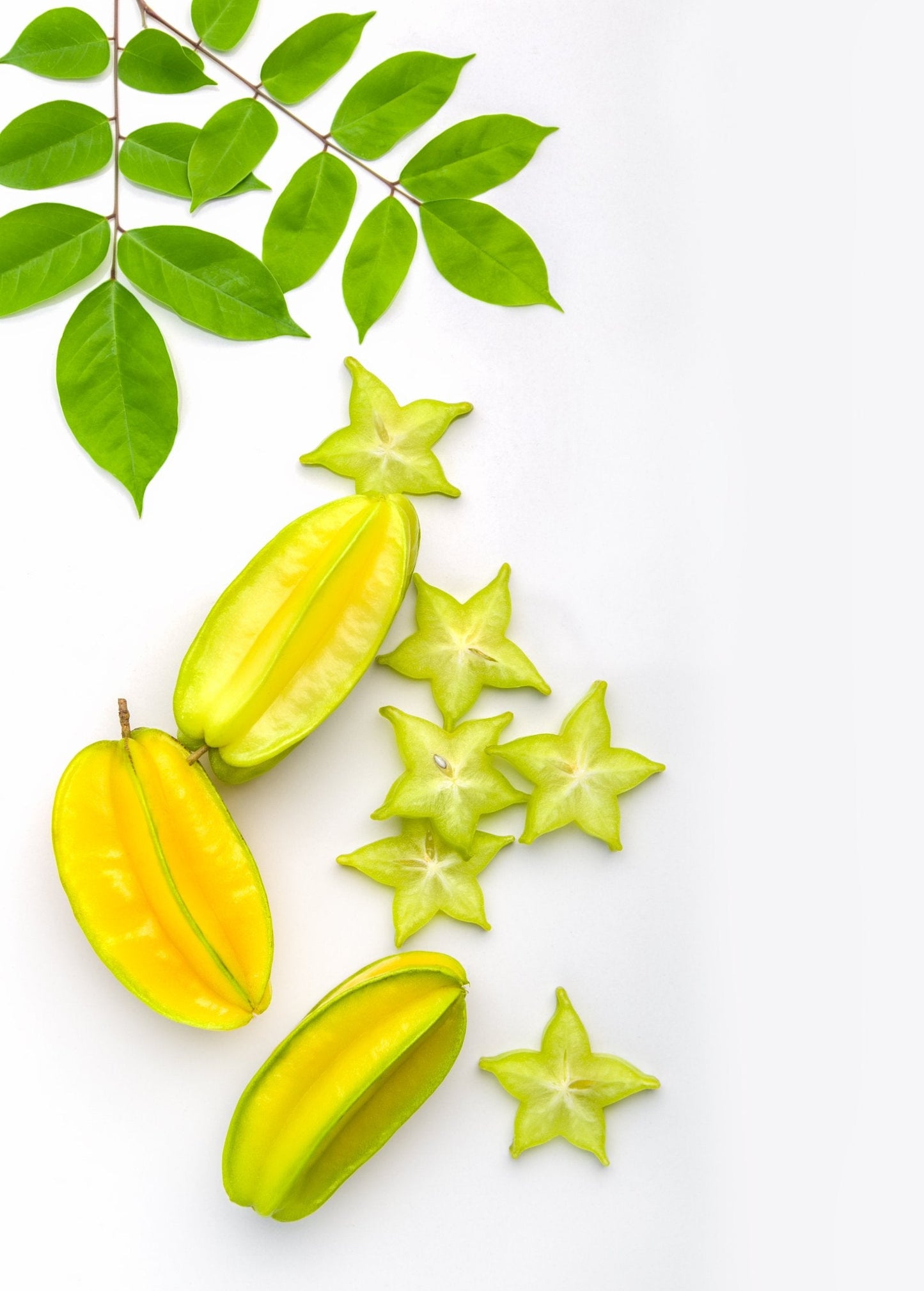 Star Fruit Kari Grafted Tree - Sweet, Prolific Averrhoa carambola for Fresh Eating & Juicing