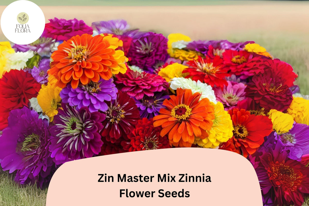 Zin Master Mix Zinnia Seeds - 100+ Heirloom Non-GMO Annual Flower Seeds (Zinnia elegans) - Colorful Blooms for Garden & Cut Flowers