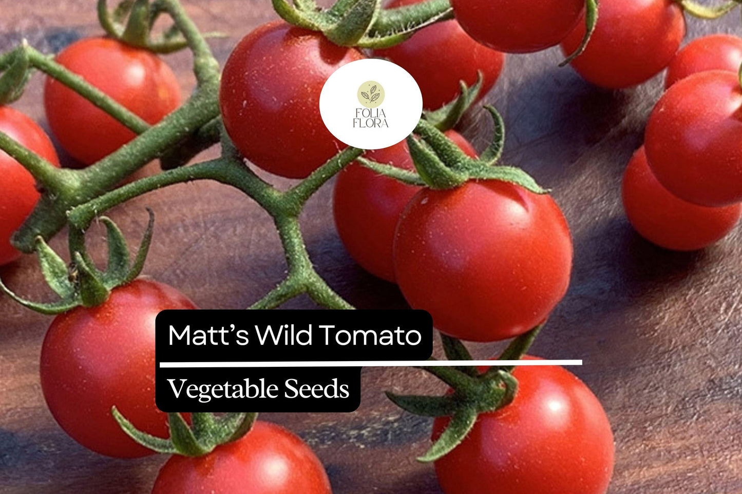 Matt’s Wild Cherry Tomato Seeds | 25 Heirloom Seeds | Sweet, Prolific, Disease-Resistant Vining Plants
