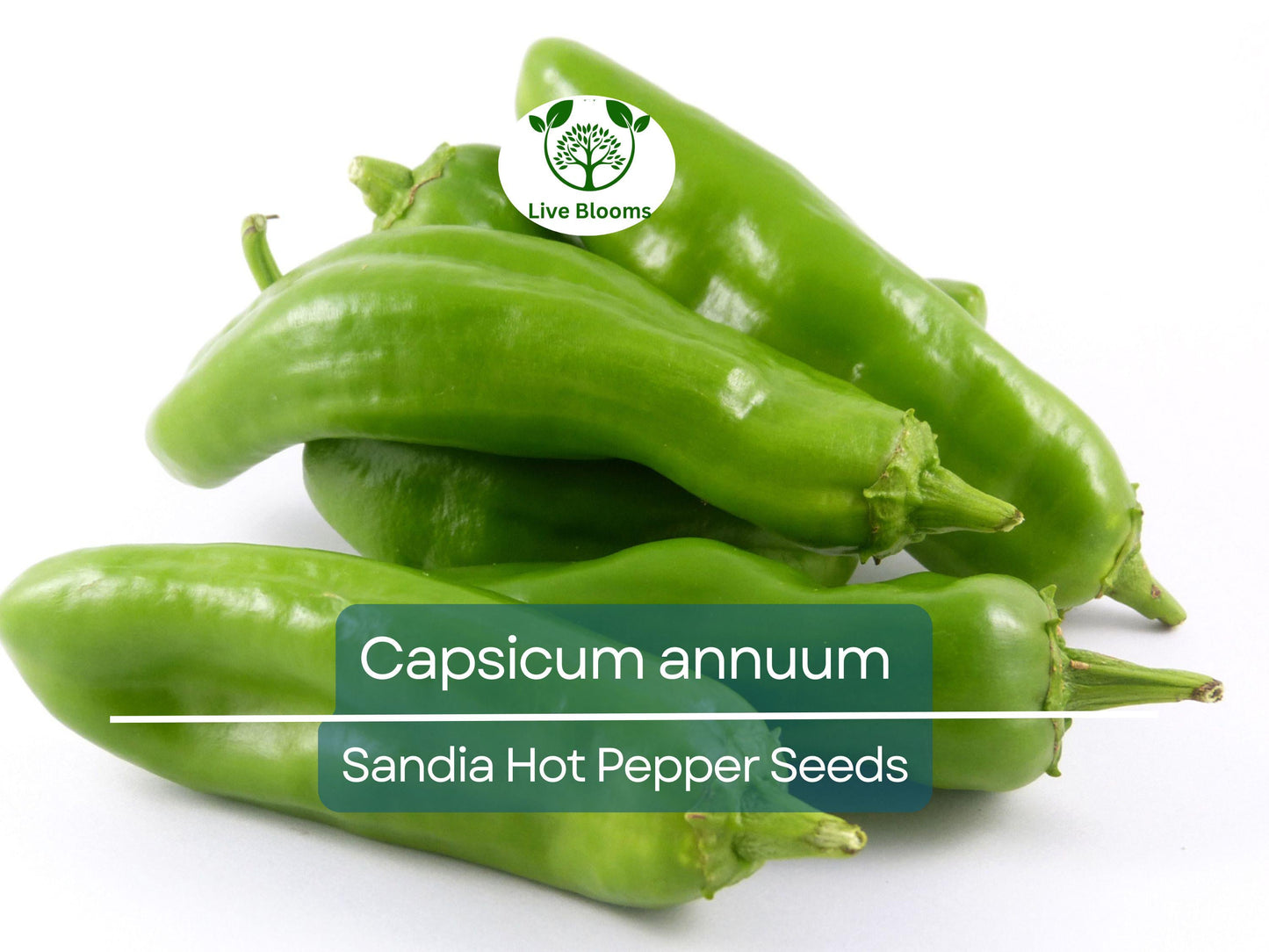 250 mg Sandia Hot Pepper Seeds - Capsicum annuum New Mexican Heirloom for Spicy Home Gardens