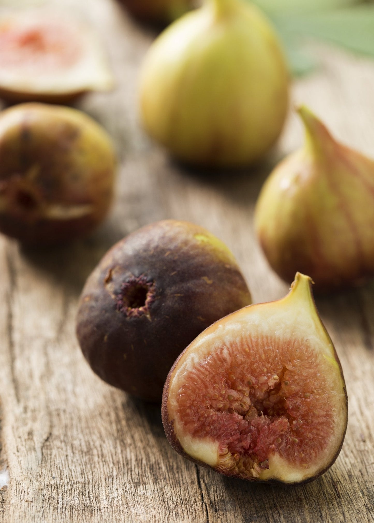Fig Tree Brown Turkey Ficus carica Edible Fruit, Self-Fertile, Drought Tolerant, Fresh & Preserves