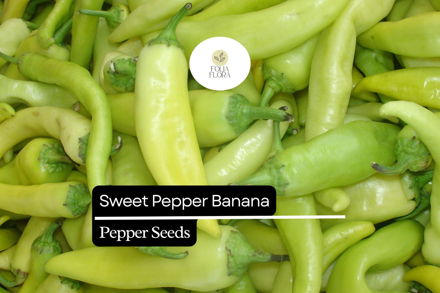 25 Sweet Banana Pepper Seeds – Heirloom Mild & Sweet Capsicum annuum, High-Yielding Non-GMO