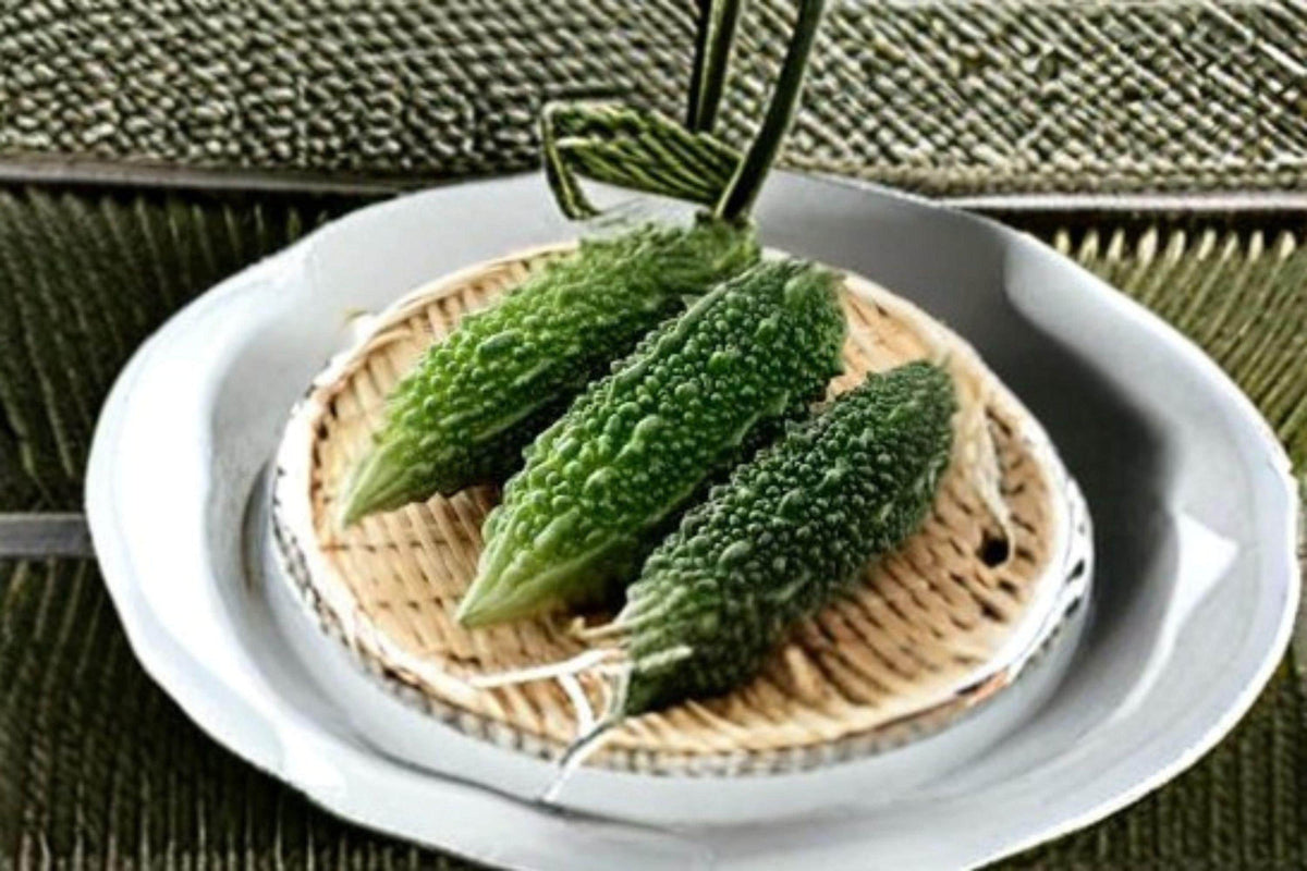 Bitter Gourd Seeds - Futo Spindle 5 Seeds | Japanese Bitter Melon | Momordica charantia | Thick Fruits for Asian Cuisine