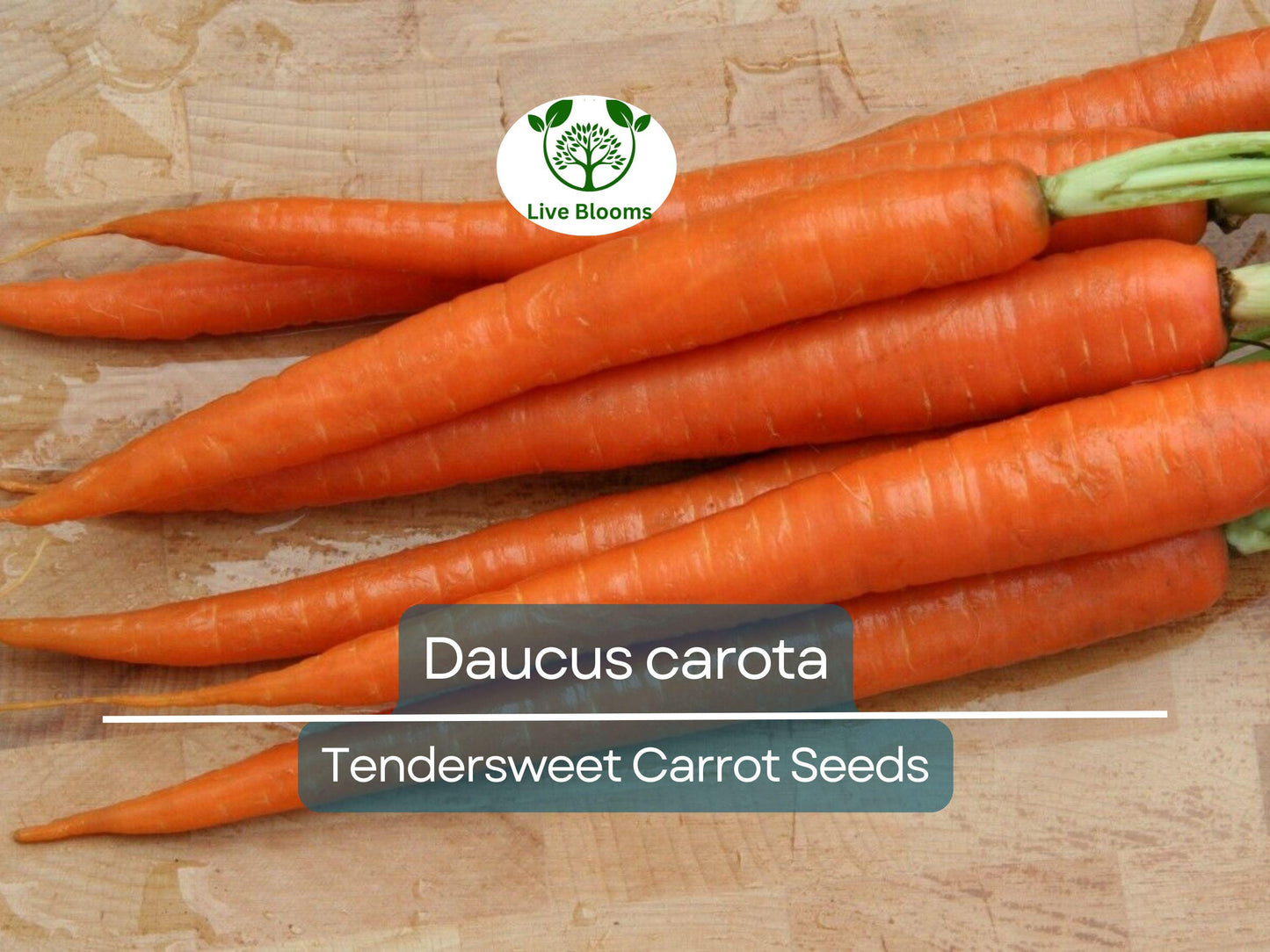 300 Seeds Tendersweet Carrot - Heirloom Daucus carota Seeds for Sweet, Crisp Roots