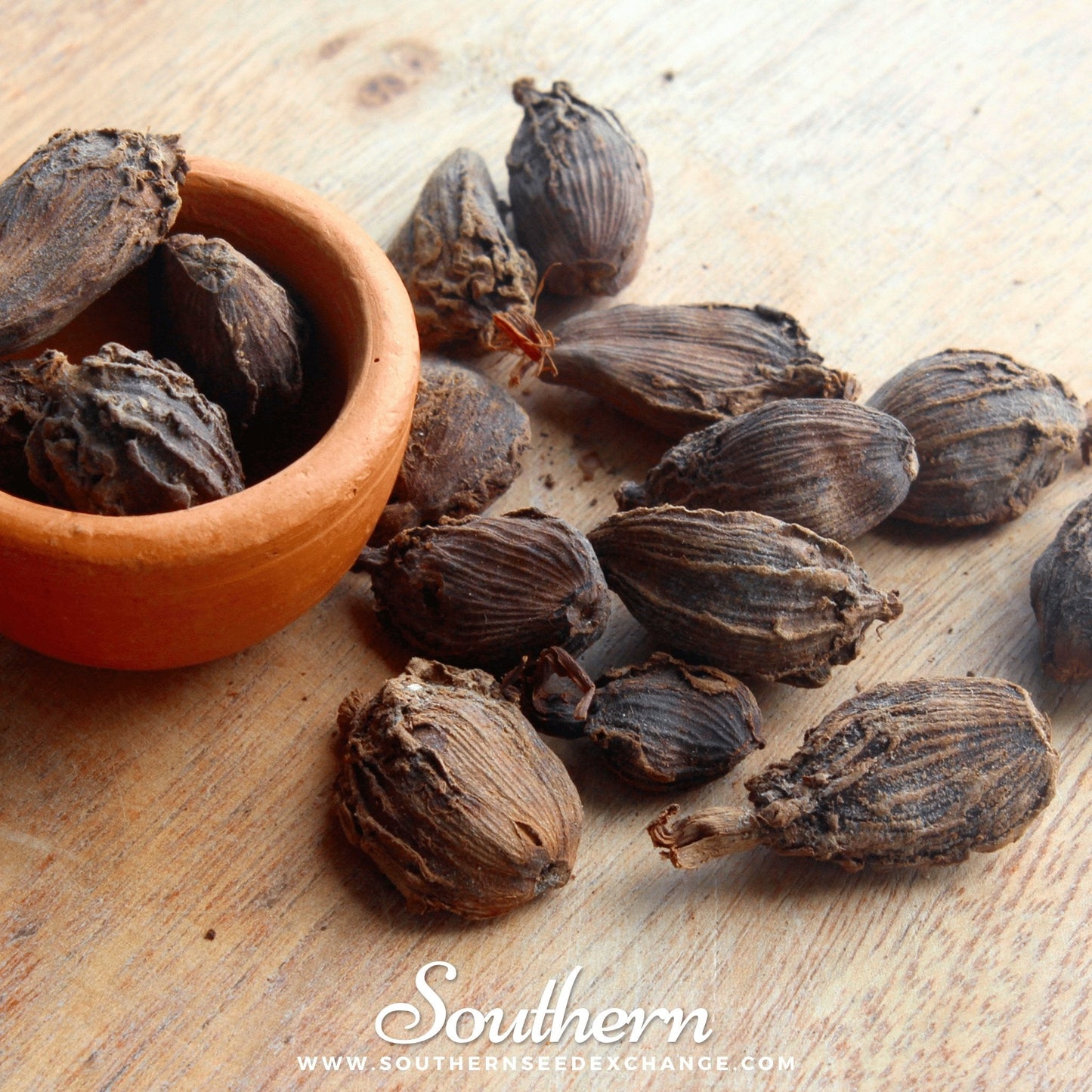 Black Cardamom Seeds - Spicy, Citrus, Mint Flavor - Heirloom, Non-GMO, Indian Origin, Perennial Herb