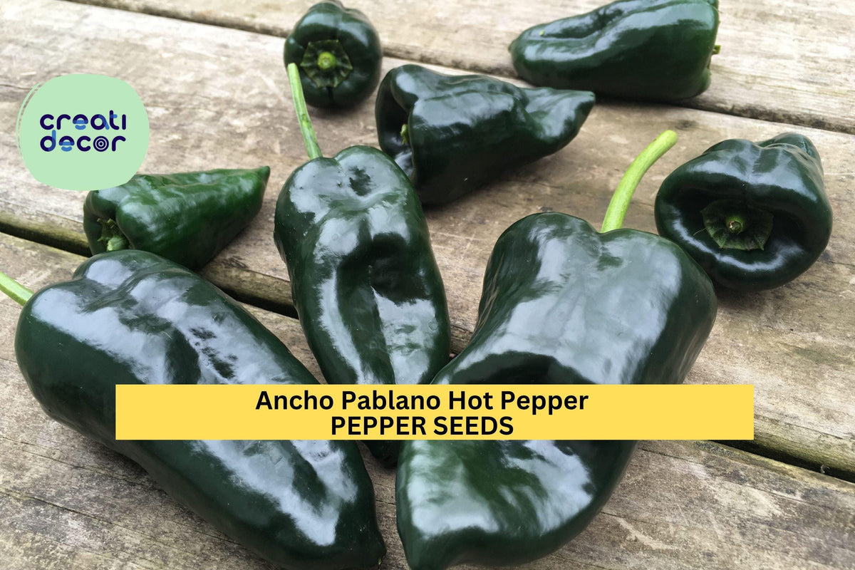 Ancho Poblano Hot Pepper Seeds - 3pcs 250mg for Roasting & Salsas - Capsicum annuum - Mild Chili for Garden Planting