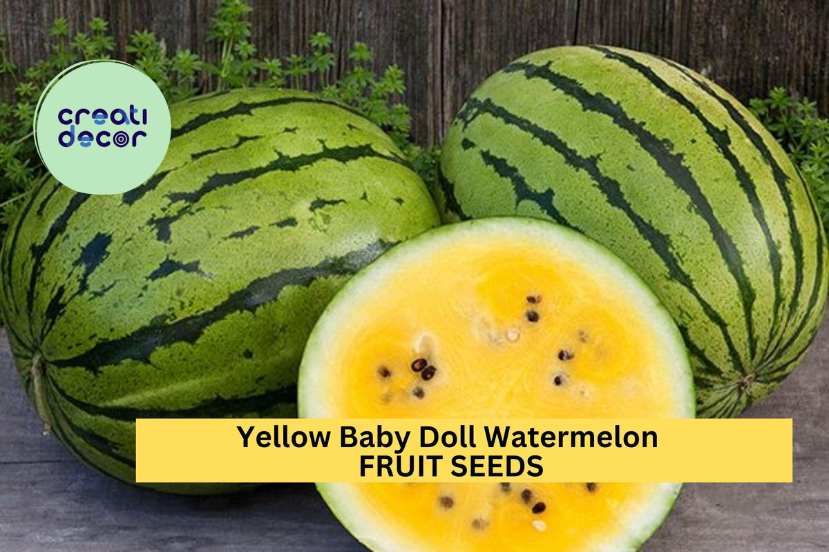 50+ Yellow Baby Doll Watermelon Seeds – Sweet Early Harvest Melons with Golden Flesh