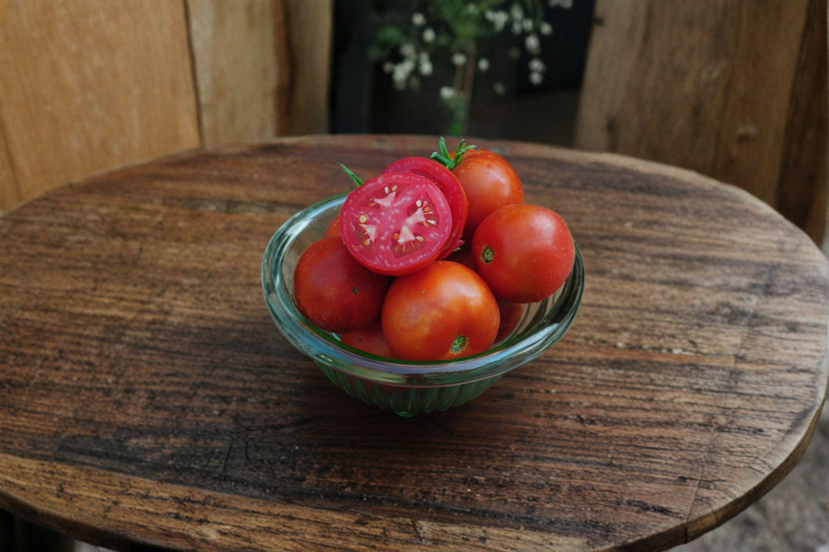 Tomato Seeds - 30 Count - Super Sioux - Heat-Tolerant Heirloom - Solanum lycopersicum - Early Producer with Excellent Flavor