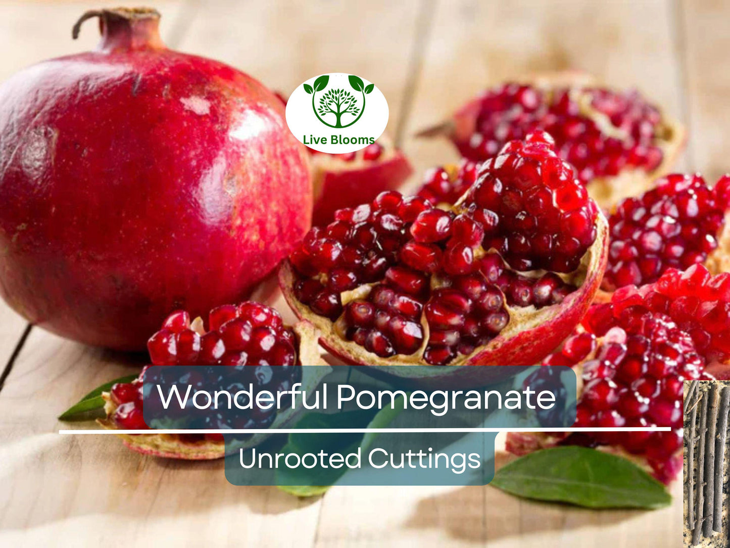 4 Pomegranate Unrooted Cuttings 6-8" from Mature Fruit Tree for Rooting & Propagation