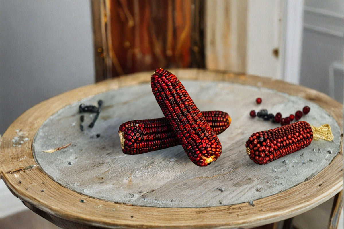 Heirloom Corn Seeds - 25 Seeds Bloody Butcher Deep Red Dent Corn (Zea mays) - Historic Variety for Grinding & Baking