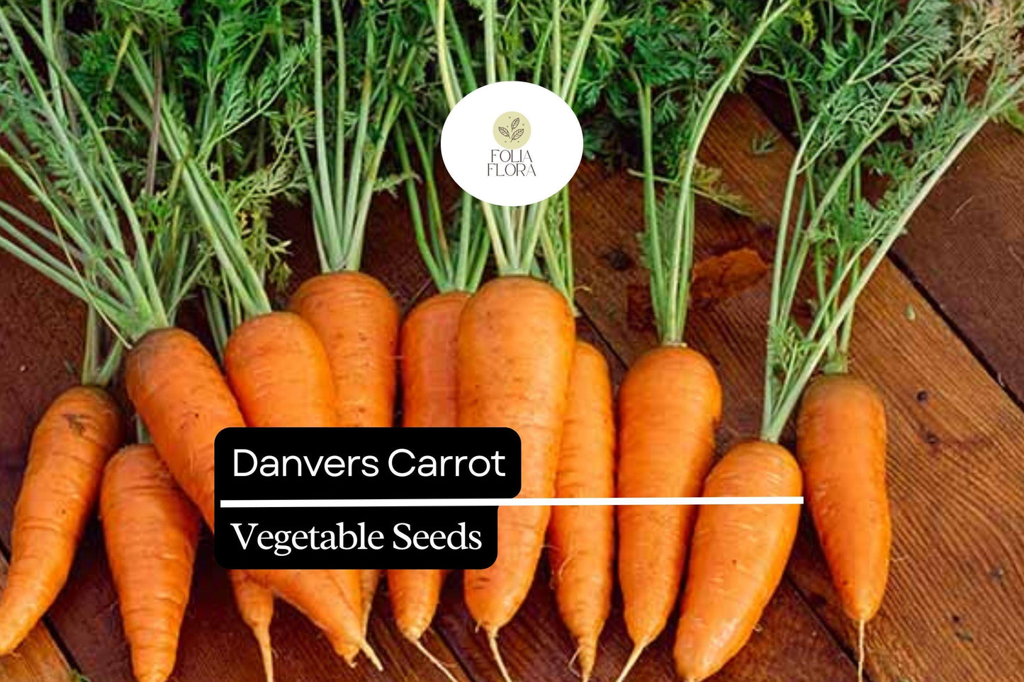 300 Danvers Carrot Seeds – Heirloom Sweet & Crisp Deep Orange Carrots, Non-GMO, Ideal for Cooking & Snacking