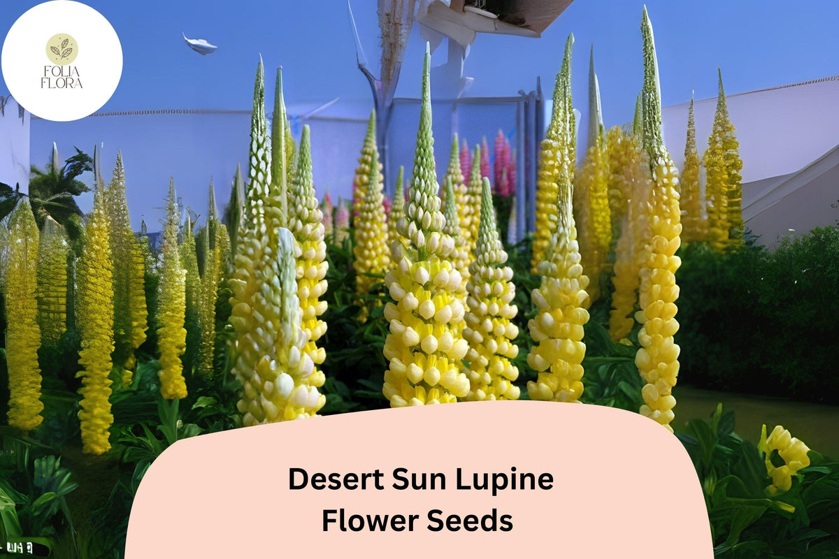 Lupinus ‘Desert Sun’ Lupine Seeds – 25+ Bright Yellow & Orange Blooms for Sunny Gardens