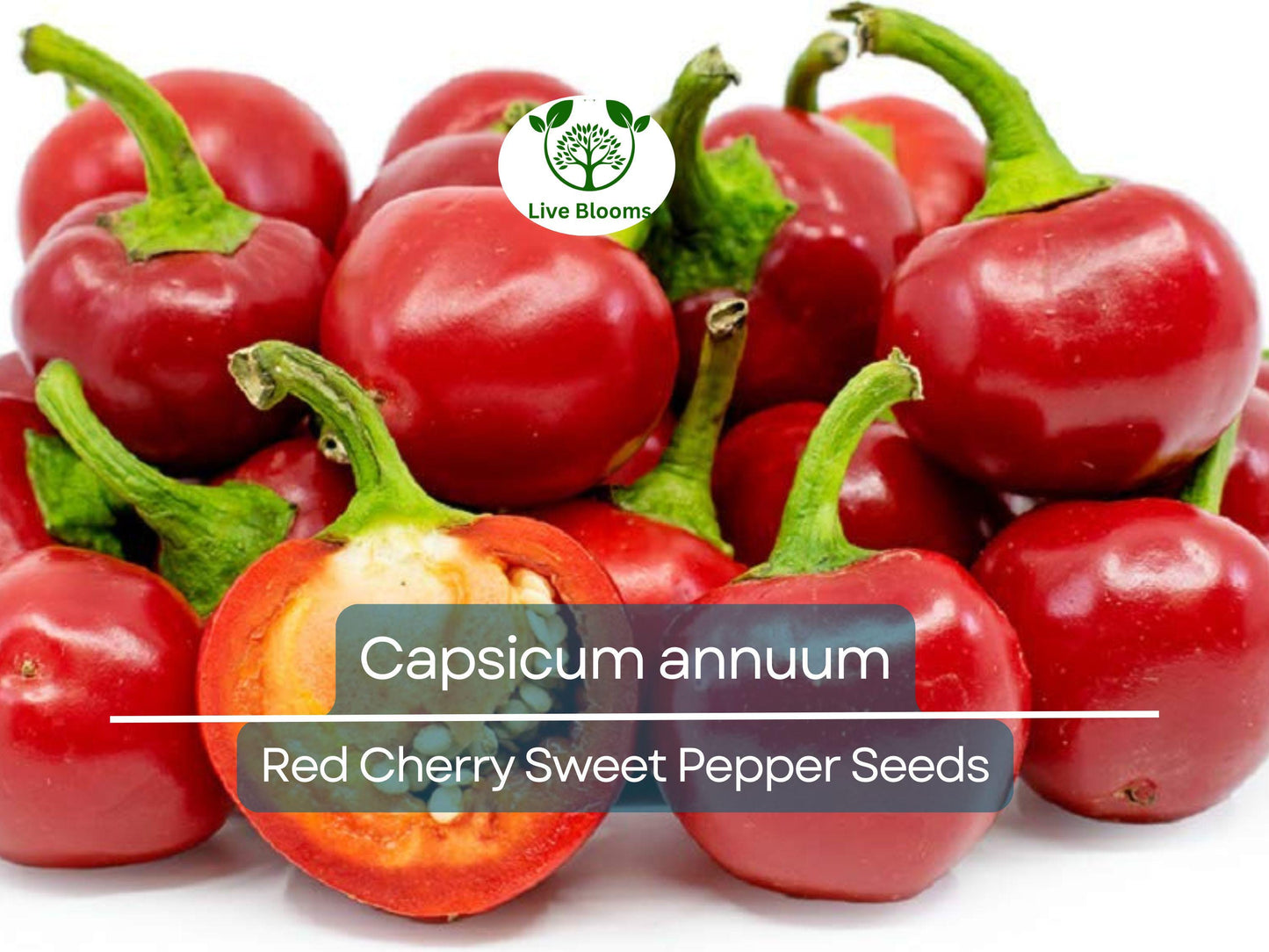 250 mg Red Cherry Sweet Pepper Seeds - Heirloom Capsicum annuum for Home Garden & Culinary Use