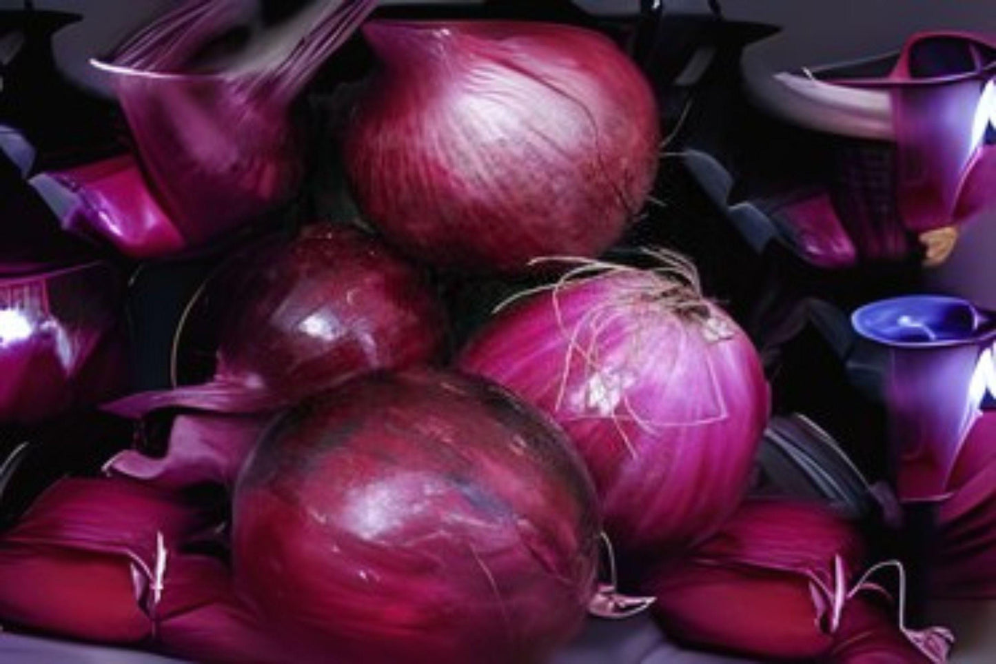 Heirloom Southport Red Globe Onion Seeds – Non-GMO, Red, Open-Pollinated, Allium cepa, 250 mg