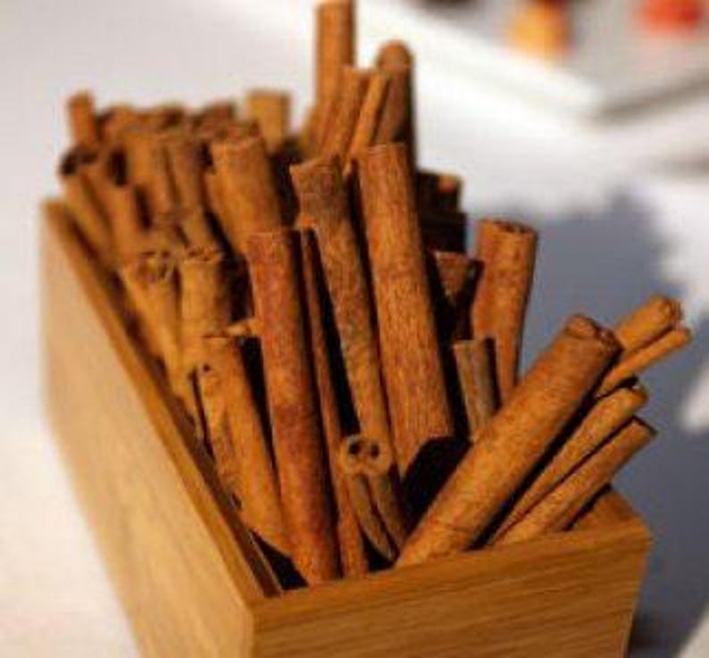 Cinnamon Tree Plant - 1-2 Feet Tall in 3-Gallon Pot - Cinnamomum verum - Aromatic Evergreen Shrub for Culinary Use