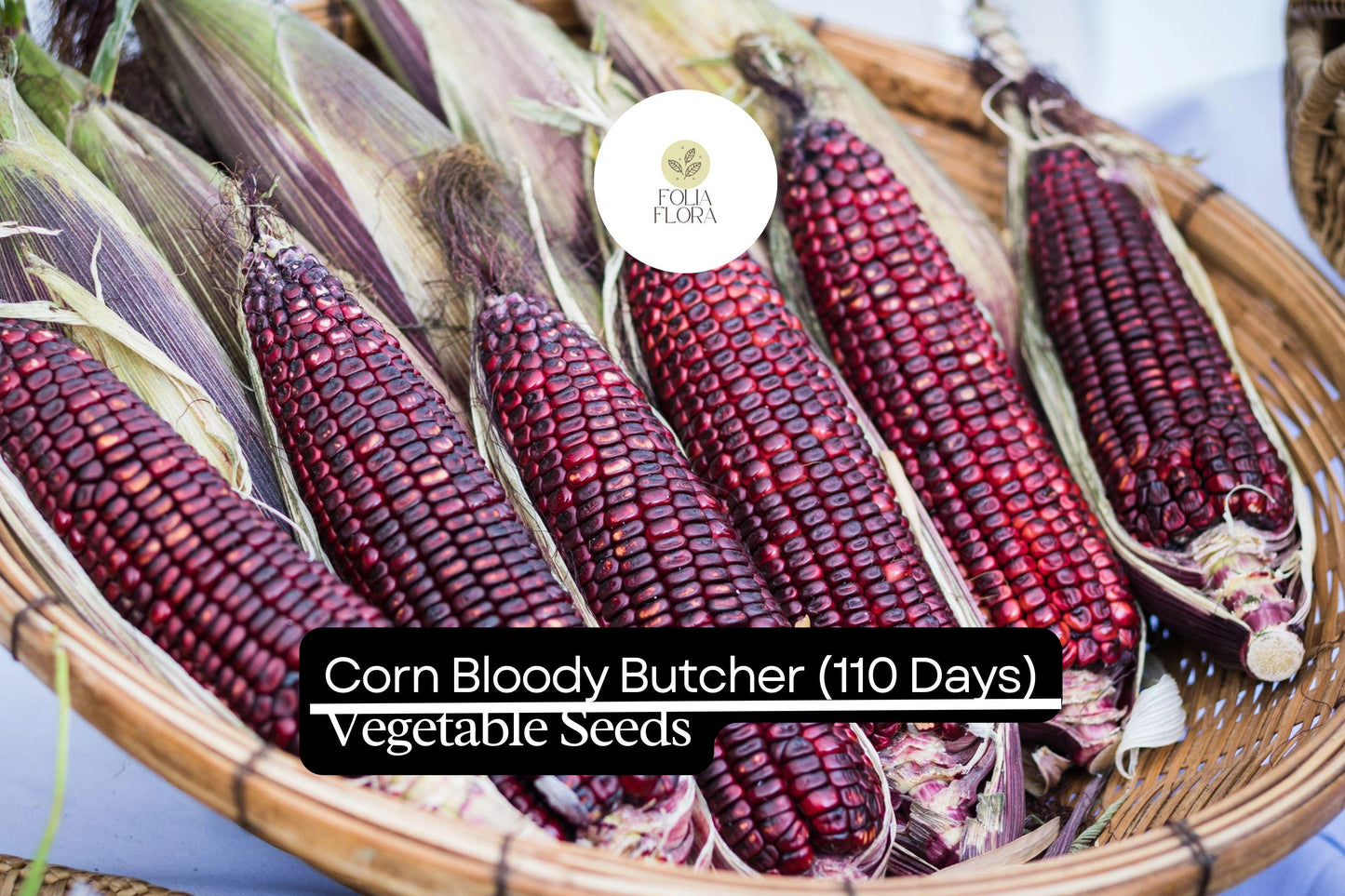 5g Bloody Butcher Corn Seeds | Zea mays Heirloom Red Dent Corn Non-GMO Multi-Purpose Decorative & Food