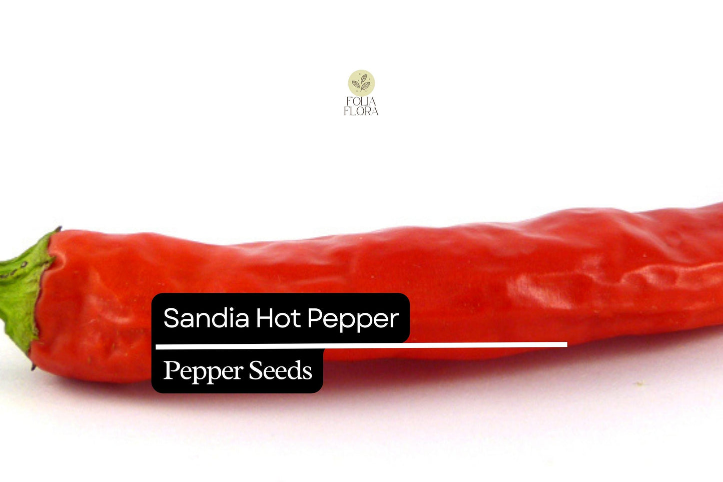 Sandia Hot Pepper Seeds | Heirloom Medium-Hot Chile | Capsicum annuum for Salsas, Roasting & Drying