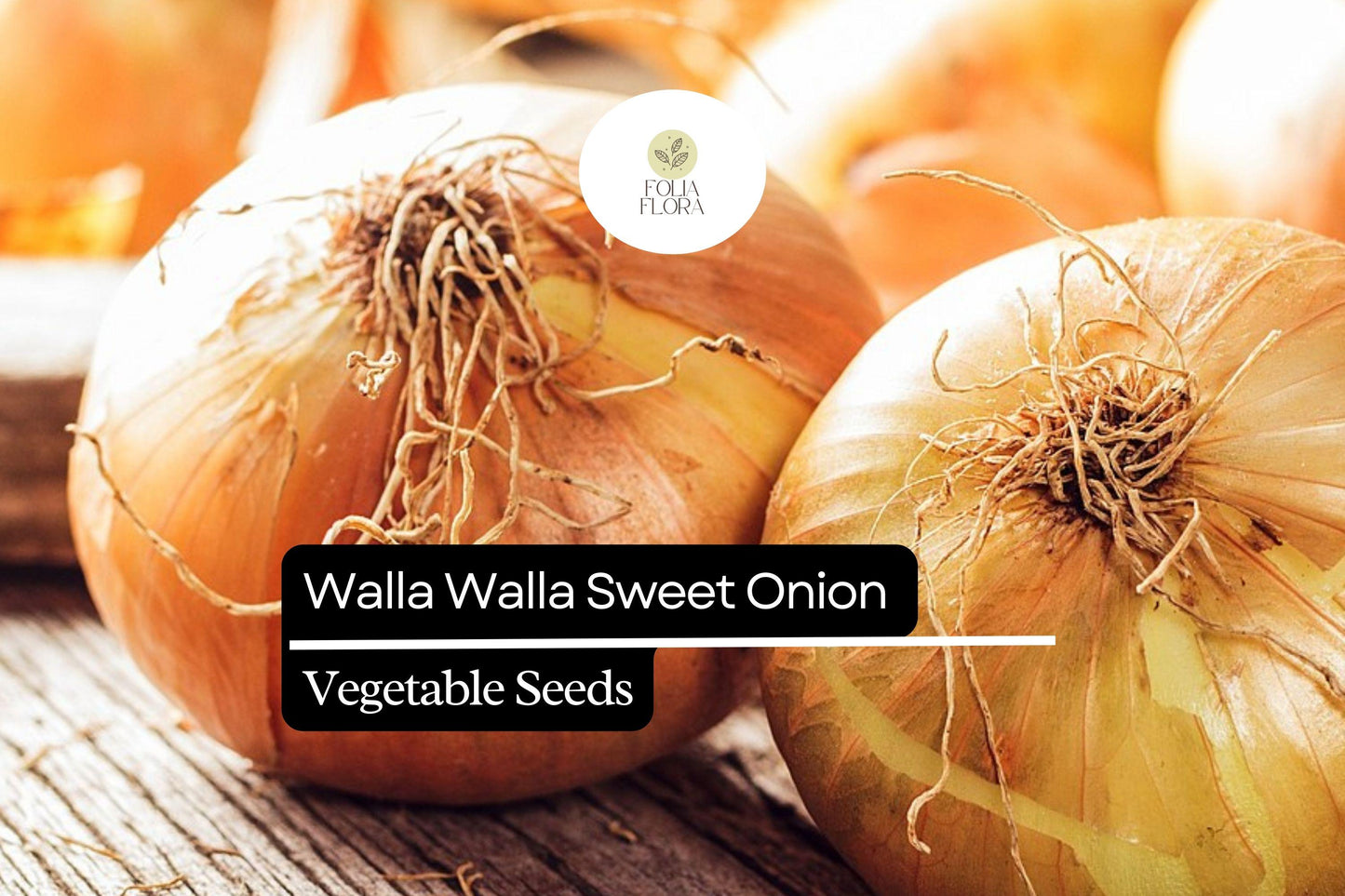 Walla Walla Sweet Onion Seeds | 250mg | Allium cepa | Mild, Sweet, Large Globe-Shaped Bulbs