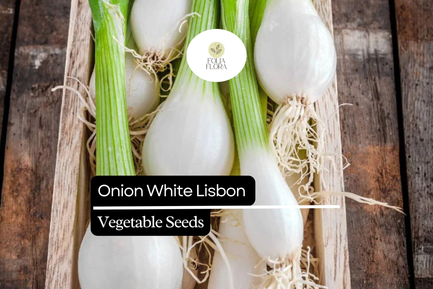 250 Seeds White Lisbon Onion Seeds – Allium cepa, Mild Flavor, Green Bunching Onion for Fresh Eating & Garnishes