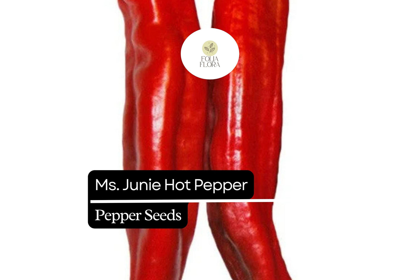 25 Ms. Junie Hatch Chili Pepper Seeds – Mild Spicy, Green to Red, Heirloom, Capsicum annuum