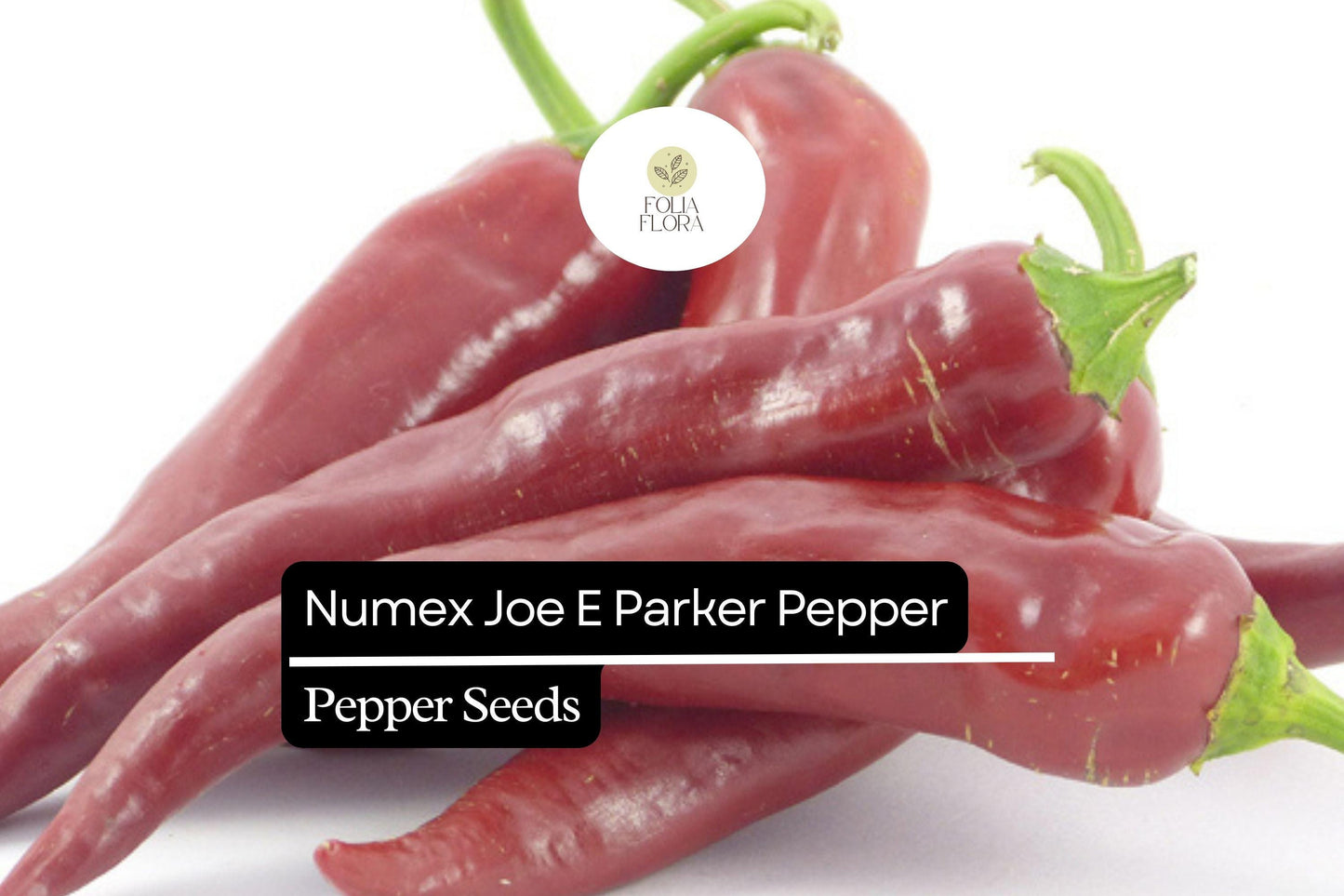 NuMex Joe E. Parker Pepper Seeds – Mild Hatch Chile, Heirloom Non-GMO, Capsicum annuum, Long Slender Fruits