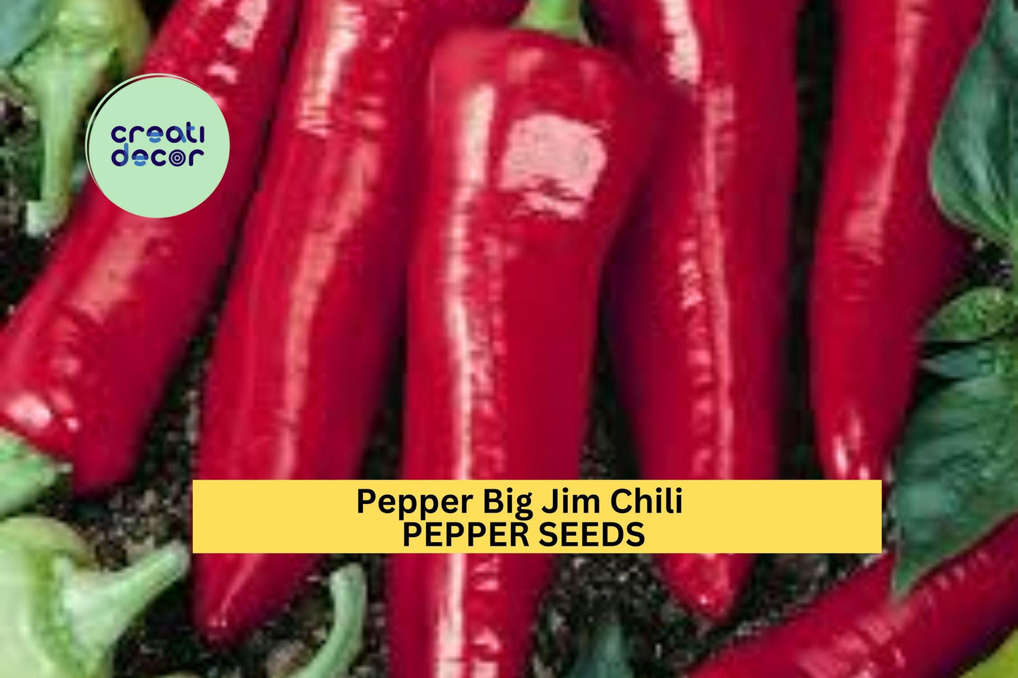 3pcs Hatch Big Jim Chili Pepper Seeds – Large Pods, Mild to Medium Heat, Capsicum annuum, Perfect for Roasting & Gardening