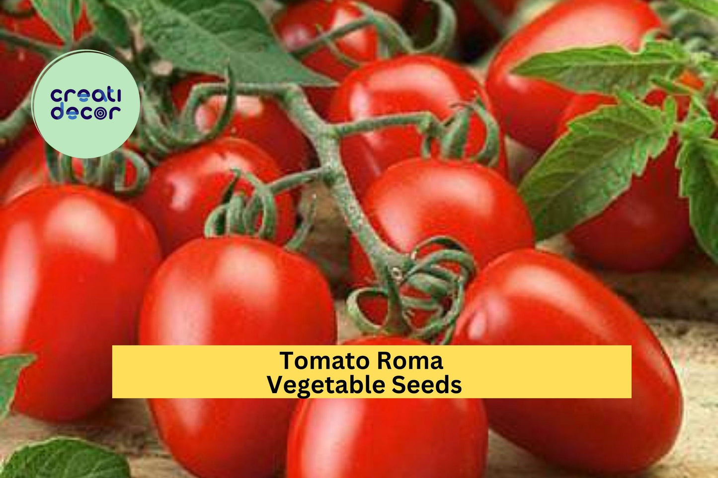 3pcs Roma Tomato Seeds – Solanum lycopersicum, Meaty, Firm, Deep Red, Ideal for Sauces, Canning, Home Gardening