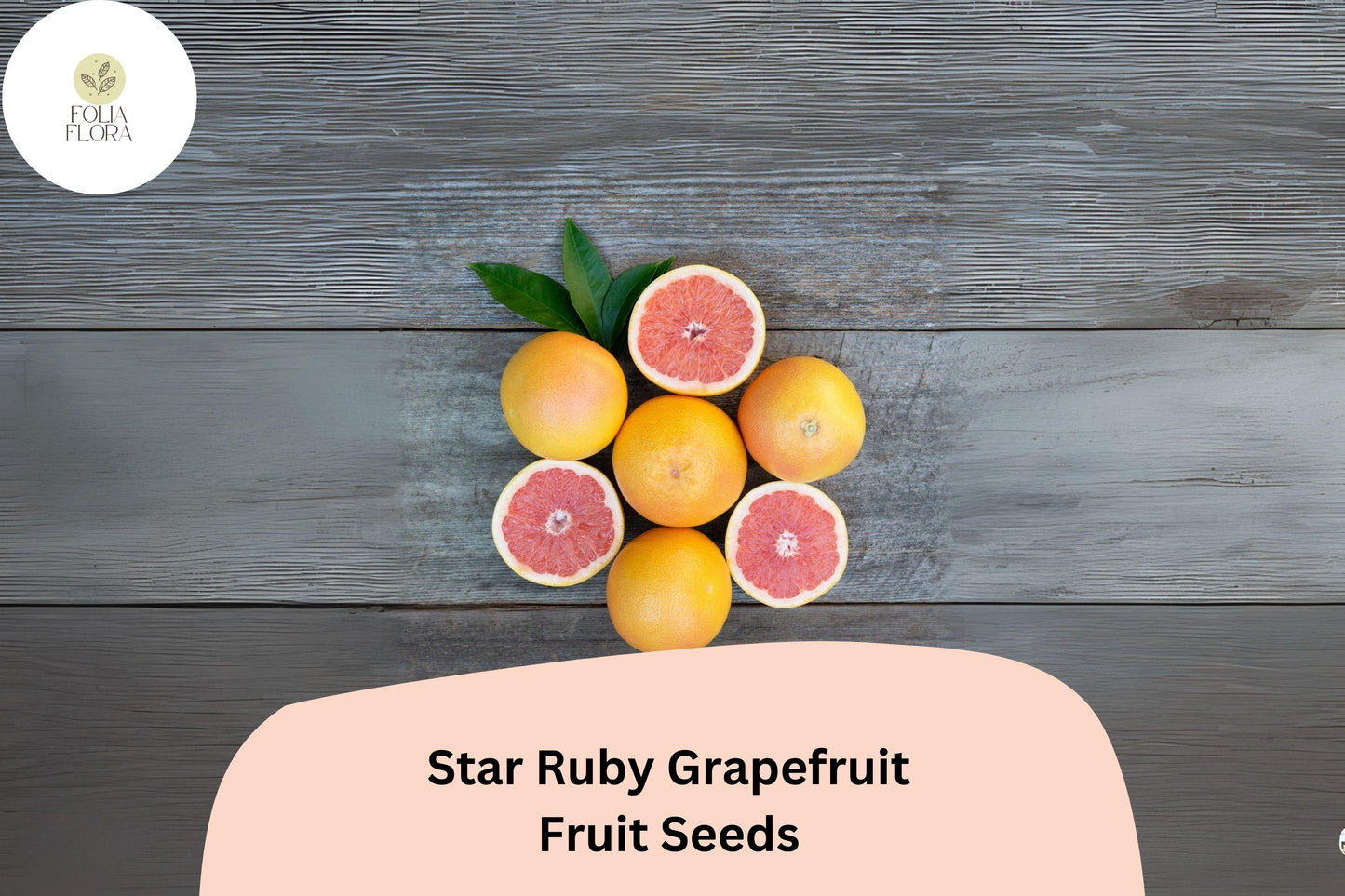 Star Ruby Grapefruit Seeds – Juicy Deep Red Citrus, Sweet-Tart Flavor, Citrus paradisi, Homegrown Fruit Tree