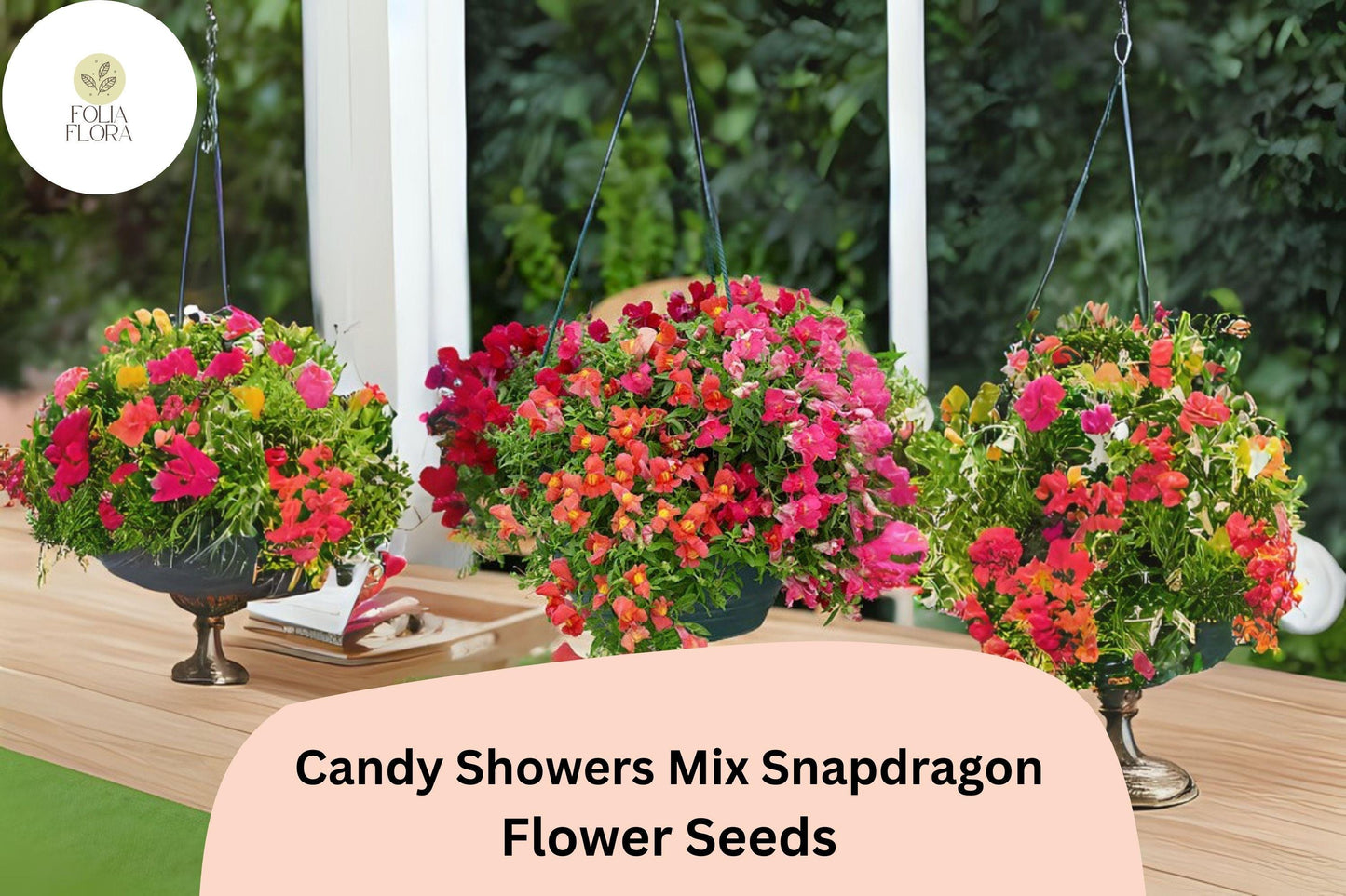Candy Showers Snapdragon Seeds | Trailing Cascading Mix for Hanging Baskets & Containers | Antirrhinum majus